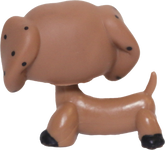 No # Dachshund